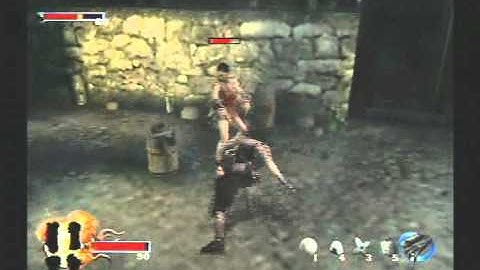 Tenchu Fatal Shadows Ayame Vs Rin