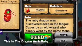 How To Breed A Ruby Dragon In DragonVale