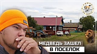 видео: Выгоняем из поселка медведя | Ставим электропастуха по всему периметру хозяйства | Деревенские будни картинка: Выгоняем из поселка медведя | Ставим электропастуха по всему периметру хозяйства | Деревенские будни