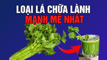 Lợi ích đáng KINH NGẠC của CẦN TÂY - THẦN DƯỢC Thải độc | Anthony William