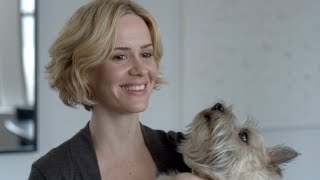 Whose Dog Is It Anyway? | Puppy Love | L/Studio created by Lexus