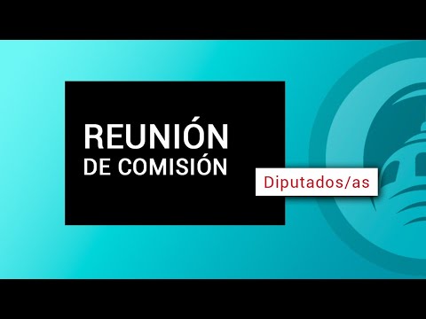 Diputados - Comisión de Obras y Servicios Públicos