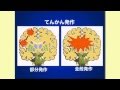 あなたの保健・医学講座：高齢者のてんかん（2012.6 ）