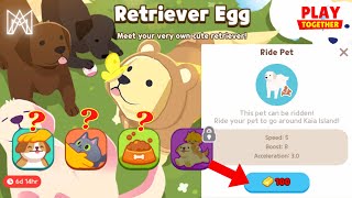 The New Retriever Egg is finally here! New Pet Paradise & Accesories | Play Together