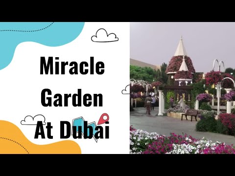 Beautiful Miracle Garden at Dubai – World's largest flower garden# Walking tour