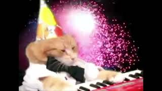 Keyboard Cat New Years 2023!