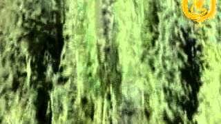 Salyan Emin Aziz - Gel Ey Seher Mixx