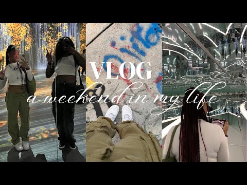 Weekend Vlog: First time flying by myself | trip to Florida, thanksgiving, art museum