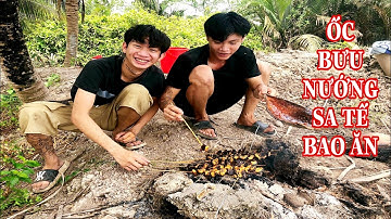 Ra Đồng Bắt Ốc Bưu Vàng Nướng Sa Tế |vinh trắng vlog #ocbuu #ocbuunuongsate  #vinhtrangvlog