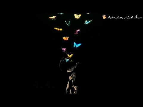 انا مش اناني عمرو دياب حالات واتساب 