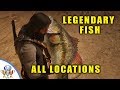 Red Dead Redemption 2 - All Legendary Fish Locations, Special Lures and Fisher of Fish Mission