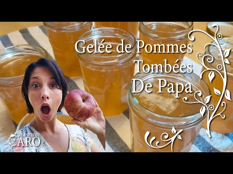 Vidéo: Comment Faire Cuire La Gelée De Pommes De Terre