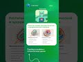Прокариоты и эукариоты — это как кнопочный телефон и современный смартфон