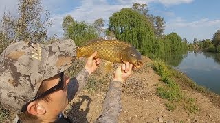 Carp Fishing Australia: Soft Plastics