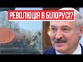 Революція в Білорусі? Народ напав на окупантів: Лукашенко приречений - білоруси за Україну!