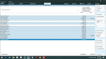 Tally Add On : Multiple PDF Generate for Ledger & Outstanding in Tally Prime Software