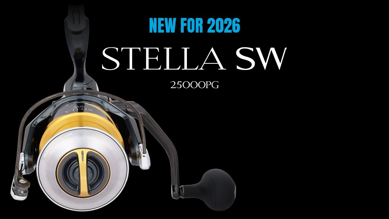 Shimano Stella SW D 25000 | New Sizes for 2026 - YouTube