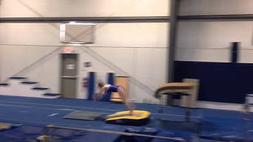 Level 10 Yurchenko 1 1/2 Vault