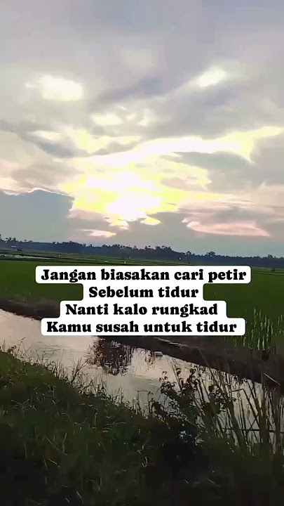 tuh yang pemburu petir 500#storywa #capcut #quotes #zeus #princess