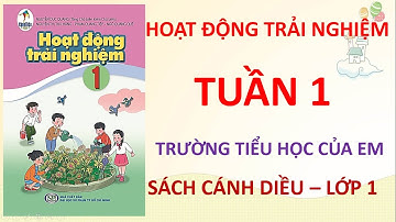 HĐTN Bài 1: Trường tiểu học của em