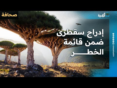 تحذيرات من إدراج سقطرى ضمن قائمة الخطر