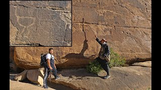 نقش النعامتين الأثري في جبل منعاء بـ #تنومة بمنطقة #عسير #ostrich
