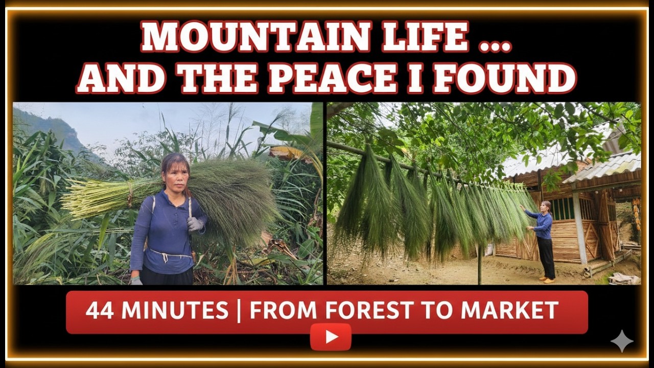 Mountain Life: Collecting Forest Grass to Make Brooms & Traditional Fire-Roasted Cake "Ly Tieu An"