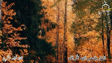 تلاوة من نهاية سورة الشورى للقارئ عبدالله سلمان الخريش