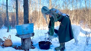 Daily Off Grid Living by One Woman’s Wilderness 24,352 views 3 months ago 12 minutes, 3 seconds