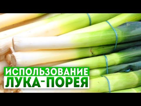 Использование лука-порея