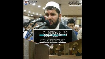 تلاوة خاشعة من سورة المنافقون للقارئ دلشاد احمد الكردی - مقاطع واتس اب