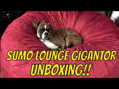 Sumo Lounge Gigantor Bean Bag Chair Unboxing and Review