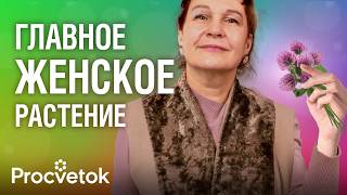 видео: ЭТО РАСТЕНИЕ ДОЛЖНА ЗНАТЬ КАЖДАЯ ЖЕНЩИНА! Замедляет старение, омолаживает кожу, предотвращает седину картинка: ЭТО РАСТЕНИЕ ДОЛЖНА ЗНАТЬ КАЖДАЯ ЖЕНЩИНА! Замедляет старение, омолаживает кожу, предотвращает седину