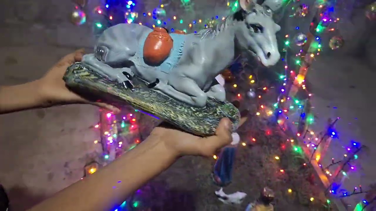 gracias a la ayuda de mi esposo así quedo terminado nuestro nacimiento con lo reyes magos y demas