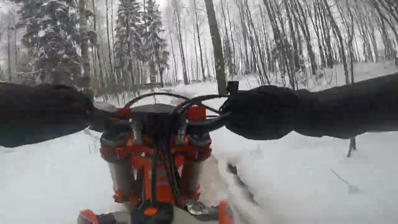 Hanskallio 15 2 2026