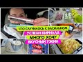 Что случилось с ВАСИЛЬКОМ / Успехи Кирилла / Много чего ХОЧУ / Мясо по ФРАНЦУЗСКИ / Vika Siberia