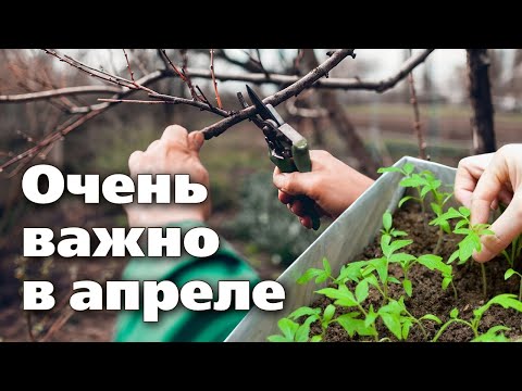 Список важных работ в апреле