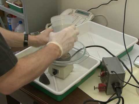 Conozca el Observatorio astronómico del Vaticano