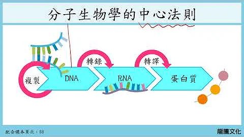 108基生2-2遺傳物質_3轉錄與轉譯 - 天天要聞