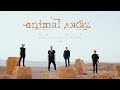 Animal ДжаZ feat. Ян Николенко — Мистика (Acoustic version, Live, 2022)