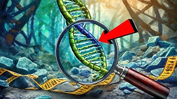 Unraveling Crime Mysteries: 🔍 The Power of DNA Analysis in Forensic Investigations