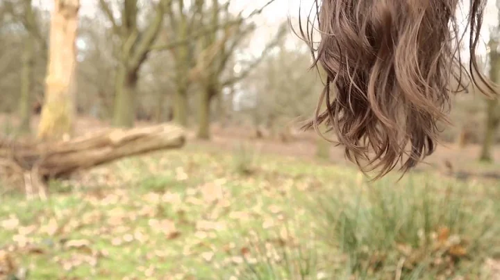 Tess E. McKenzie, Hair in a forest (excerpt), 2016
