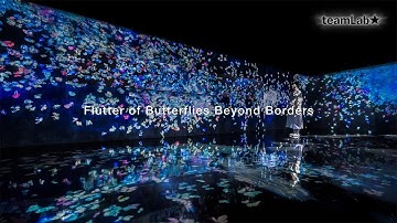 Flutter of Butterflies Beyond Borders