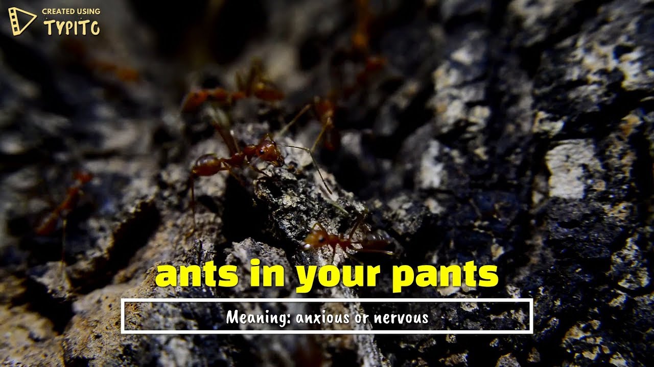 Ants in Your Pants English Idioms and Phrases YouTube