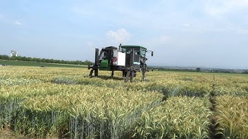 BreedVision, Project "predbreed"