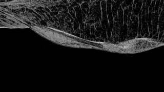 Pointcloud Waves - TouchDesigner