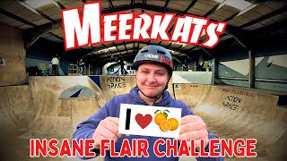 The Most INSANE BMX Flair Challenge | Adrenaline Alley Vlog 2024
