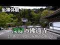 市長と体験する坐禅！深緑の佛通寺で日本の美と歴史に触れる47分