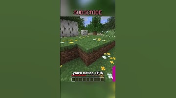 THE RAREST BIRCH TREE IN MINECRAFT