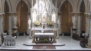 St Joseph Live